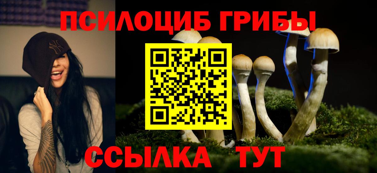 Галлюциногенные грибы Cubensis  Псилоцибиновые грибы Magic Shrooms  Вход с VPN  Рассказово 