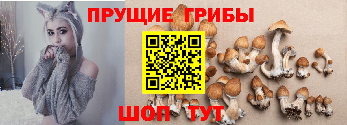 Галлюциногенные грибы MAGIC MUSHROOMS Рассказово